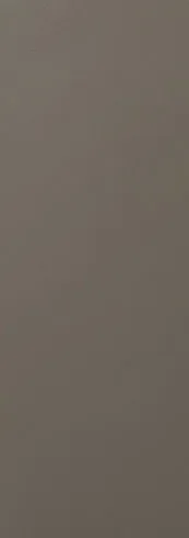 Vizon color swatch